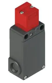 FS 2896D024  Pizzato